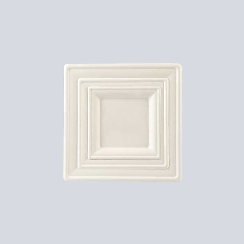 Đĩa sợi đúc & khay đựng cốc