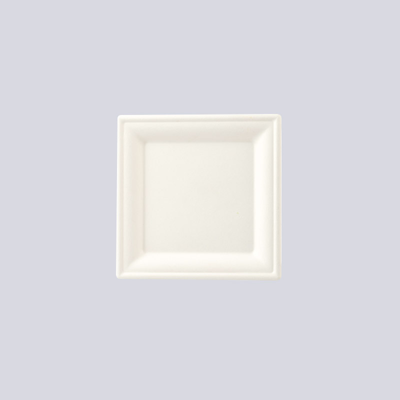 Đĩa sợi đúc & khay đựng cốc